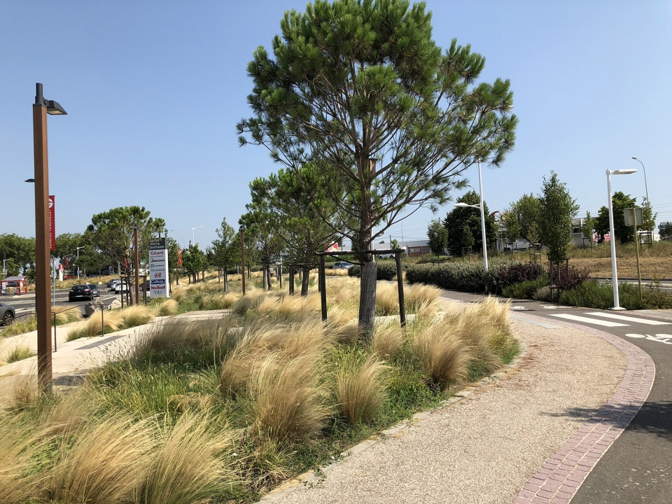 parking and the surroundings of galerie espaces fenouillet by filao amenagement