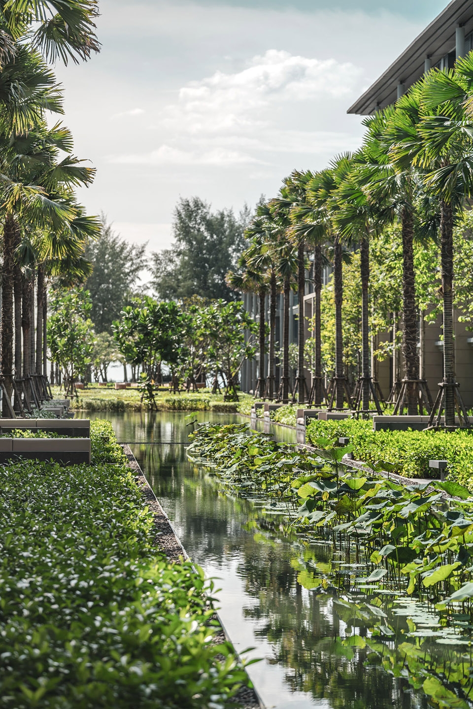 landscape design of baan mai khao by shma