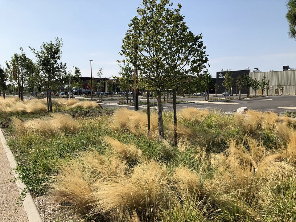 parking and the surroundings of galerie espaces fenouillet by filao amenagement