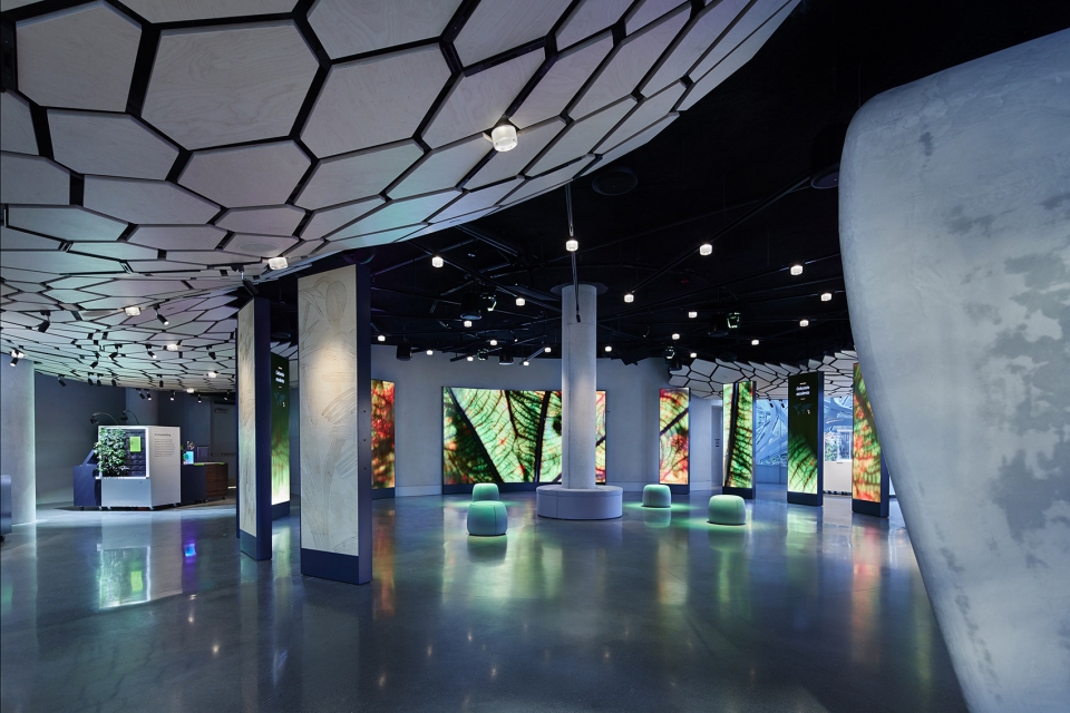 understory at the spheres by graham baba architects