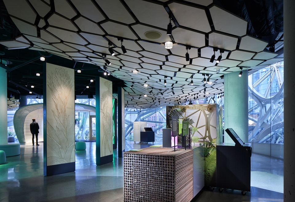 understory at the spheres by graham baba architects