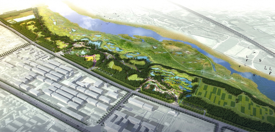 weiliu wetland park china by yifang ecoscape