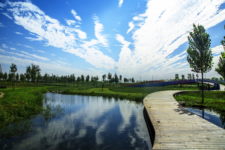 weiliu wetland park china by yifang ecoscape
