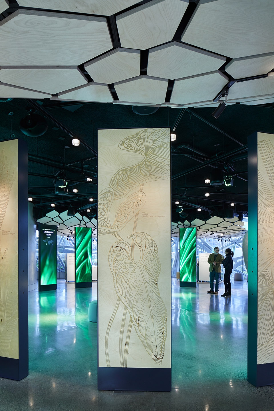 understory at the spheres by graham baba architects