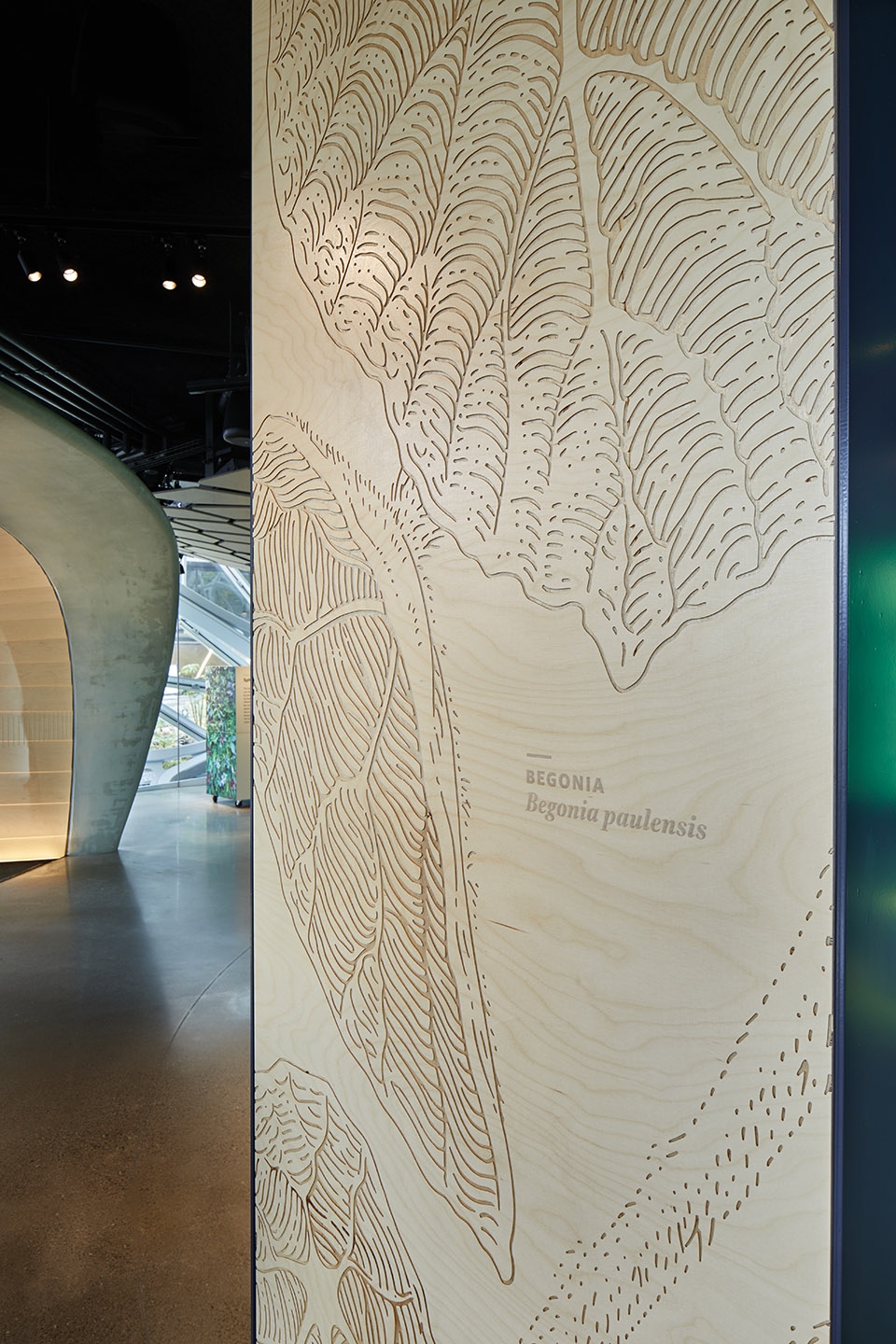 understory at the spheres by graham baba architects