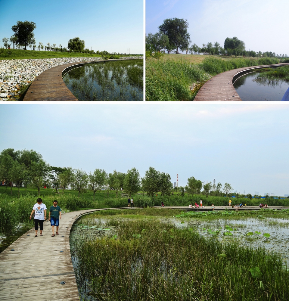 weiliu wetland park china by yifang ecoscape