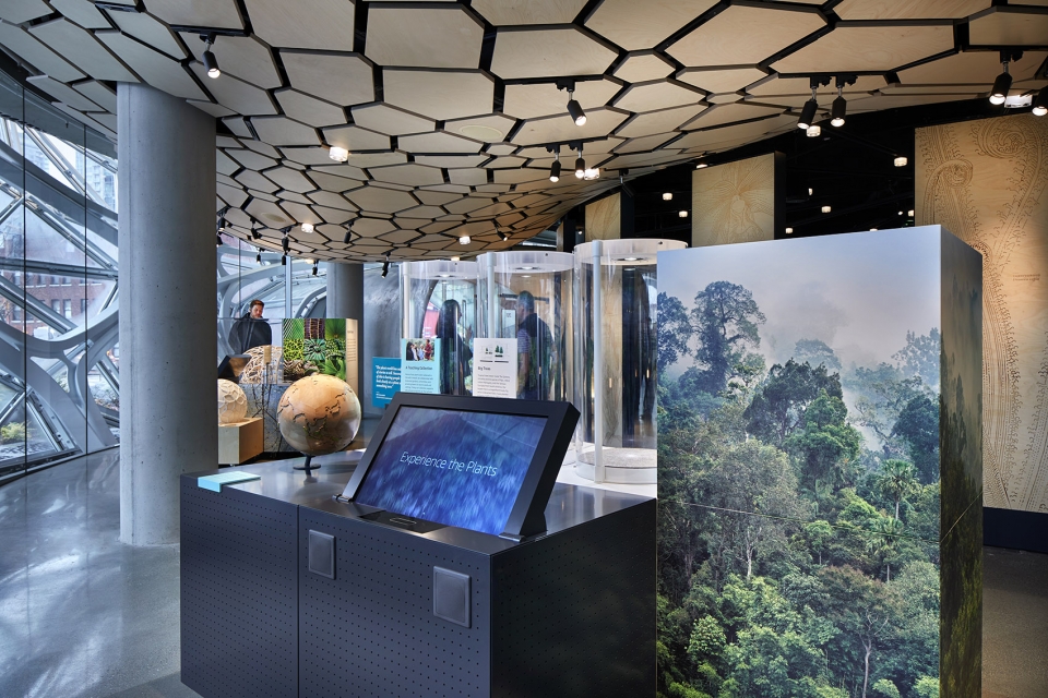 understory at the spheres by graham baba architects