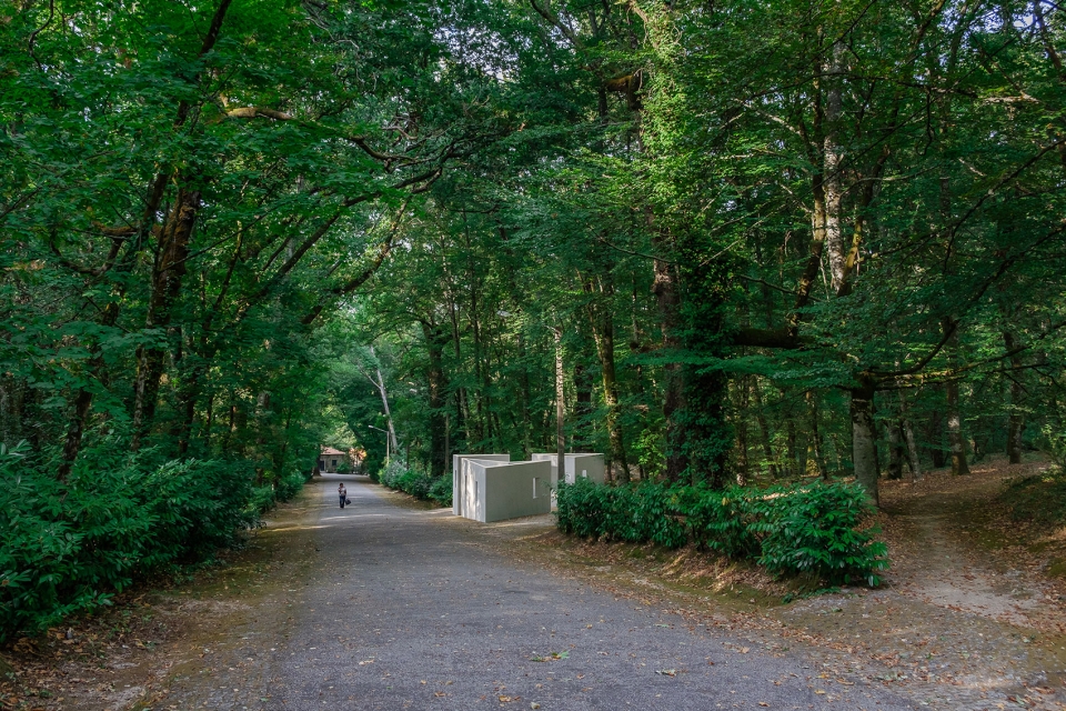 the garden of framed scenes by the open workshop