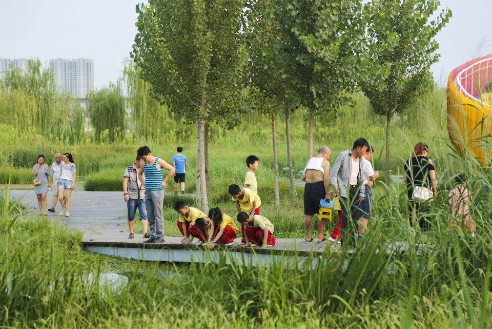 weiliu wetland park china by yifang ecoscape