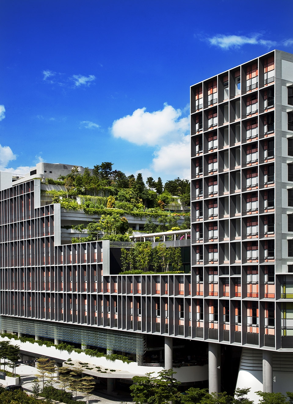 kampung admiralty by woha