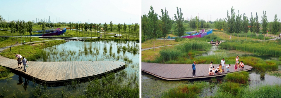 weiliu wetland park china by yifang ecoscape