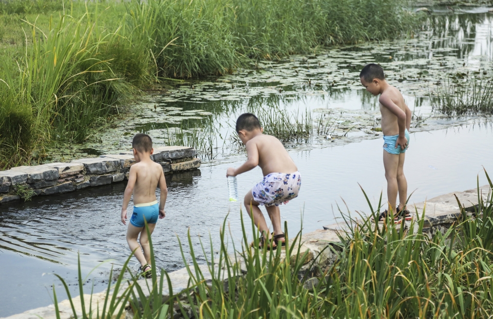weiliu wetland park china by yifang ecoscape