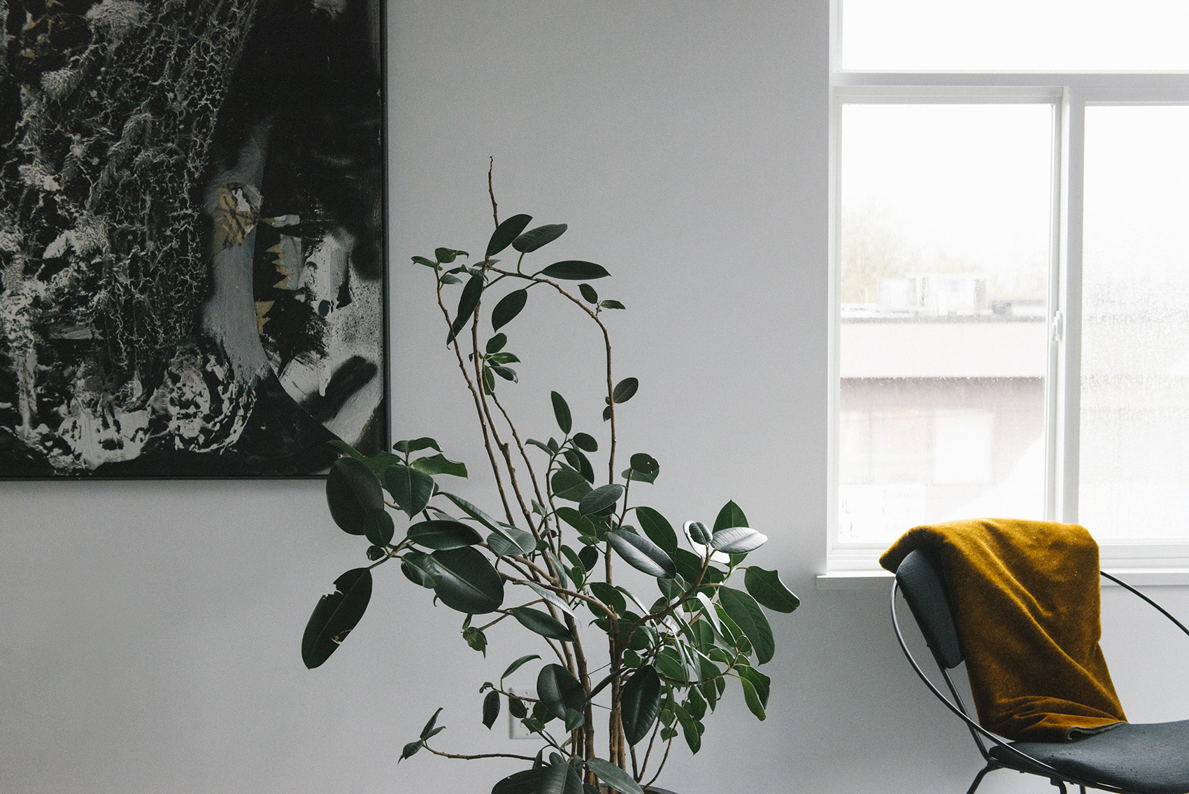 Ad Astra House by Studio Roslyn 谷德设计网