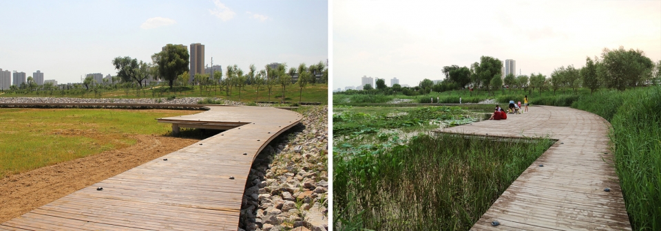 weiliu wetland park china by yifang ecoscape