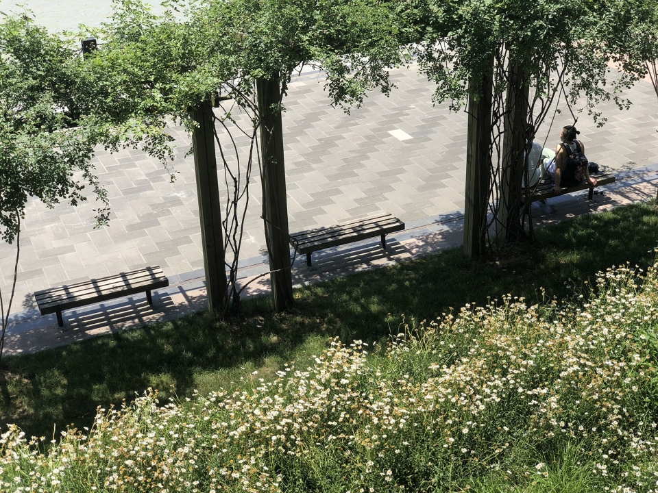 moma museum waterfront park yiyu design