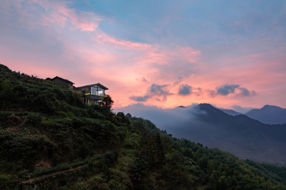 Stray Birds Art Hotel Line