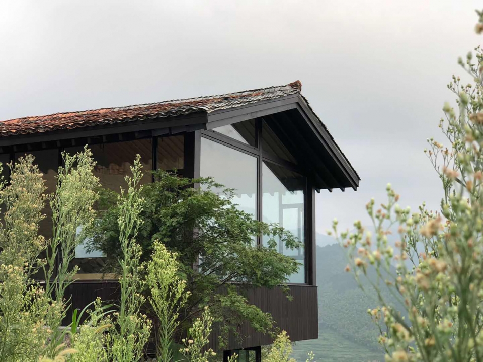 Stray Birds Art Hotel Line