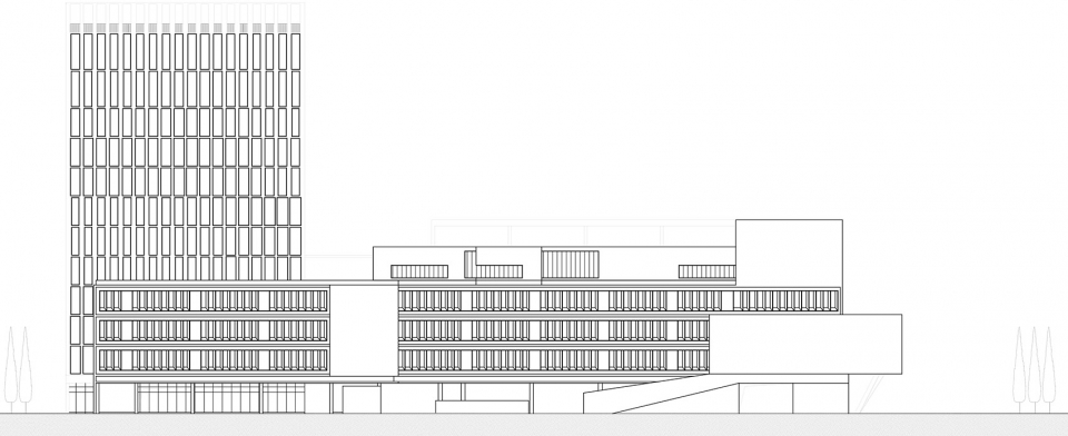 Longyuan School ZHOBO Design AAO