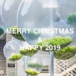 2019来自朋友们的贺卡