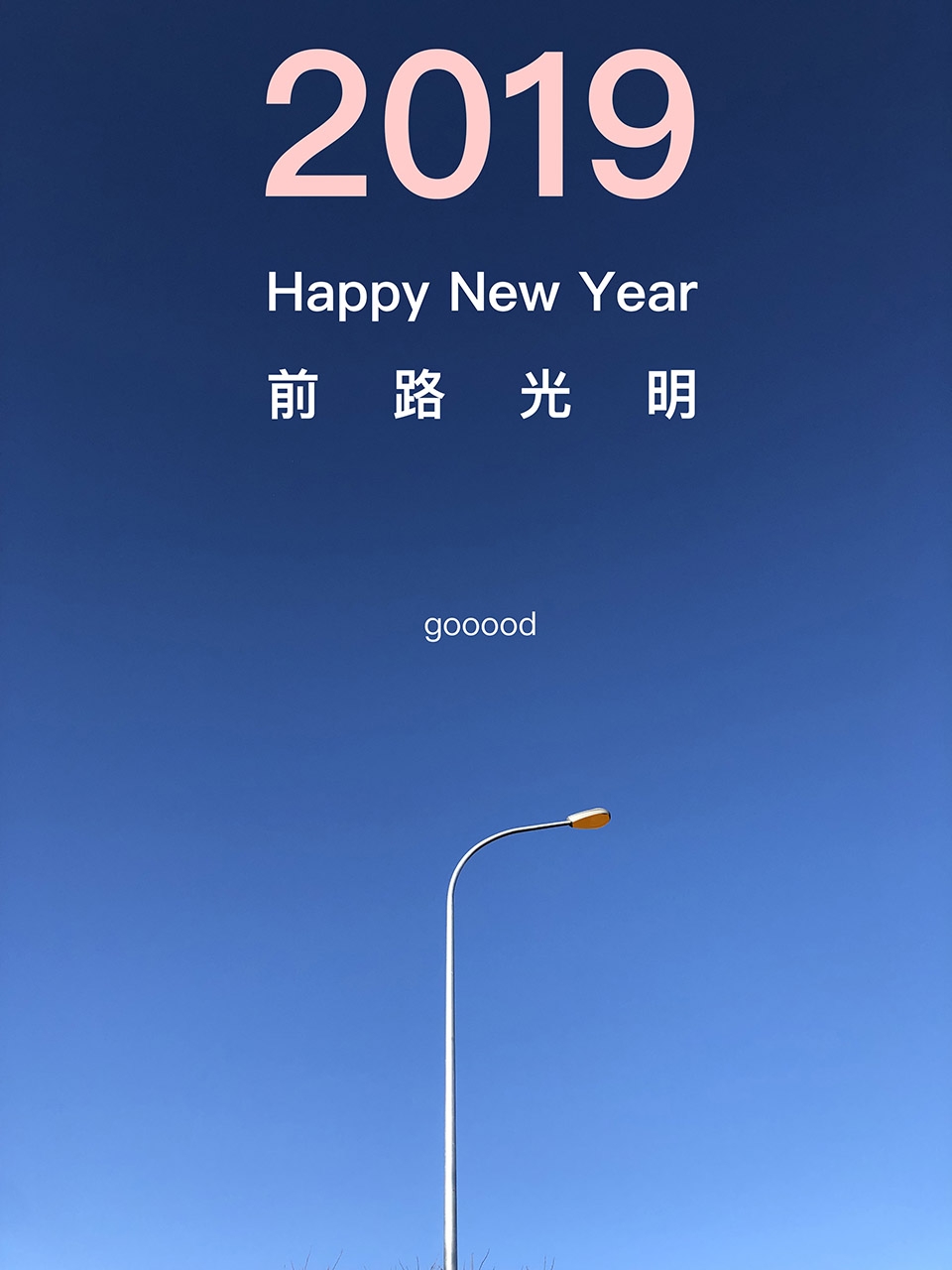 happy new year2019