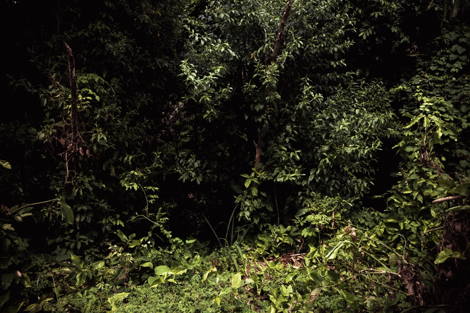something that i cant remember by antonio schubert
