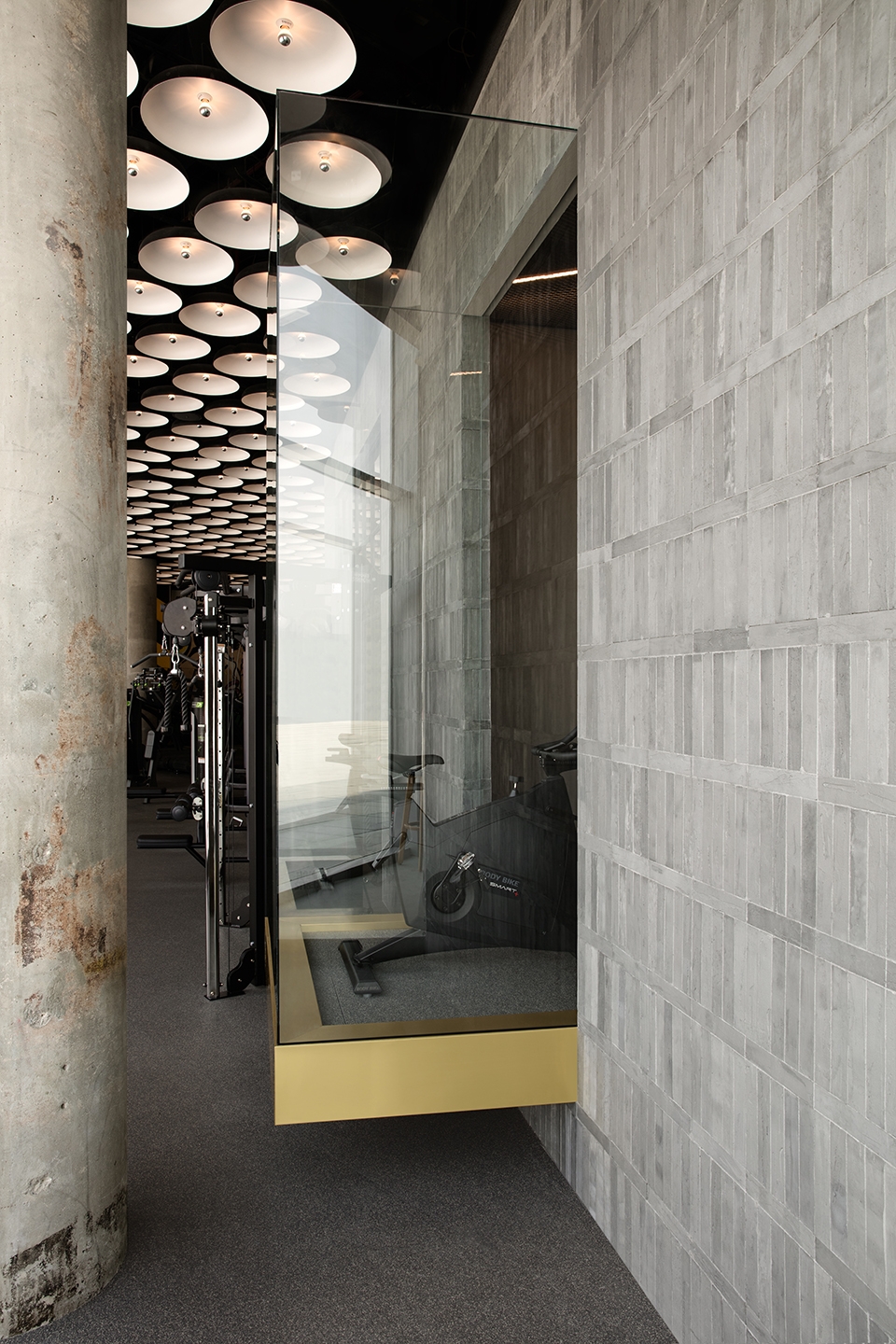 warehouse gym d3 by vshd design