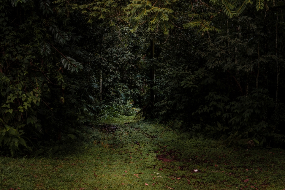 something that i cant remember by antonio schubert
