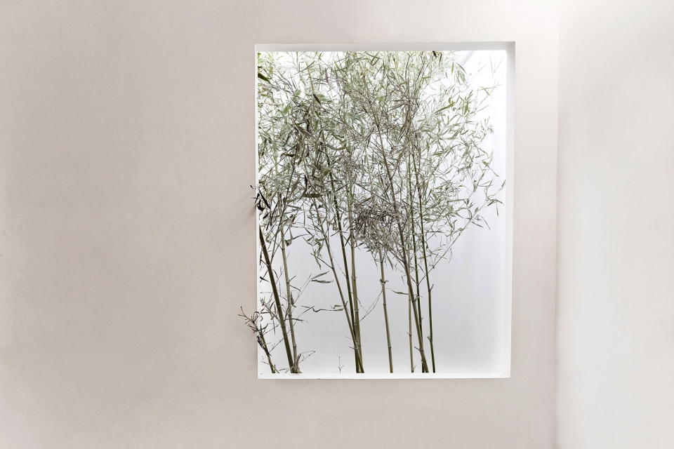 yuqun space bamboo space china by gm design
