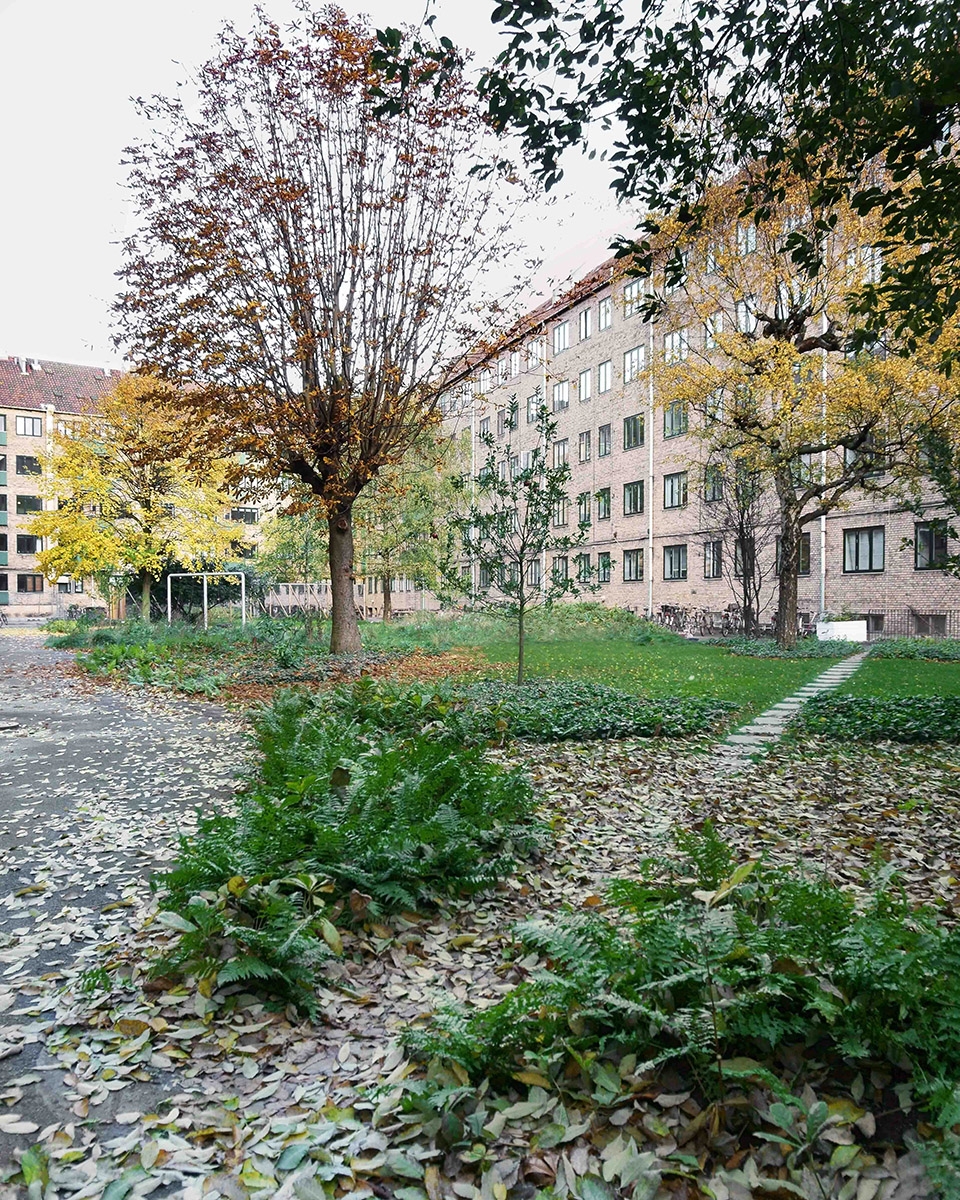 norrehus common courtyard transformation by johansen skovsted arkitekter