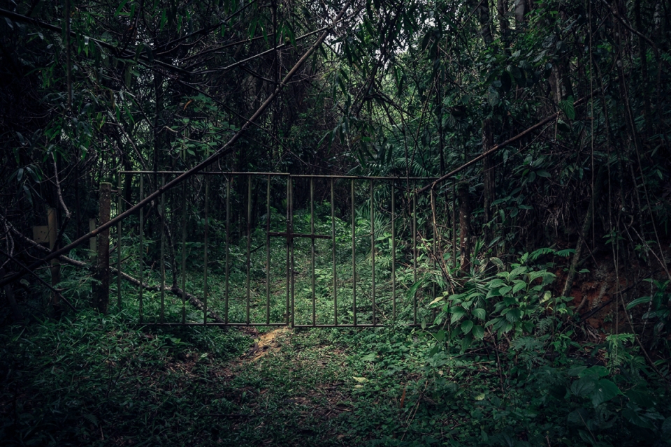 something that i cant remember by antonio schubert