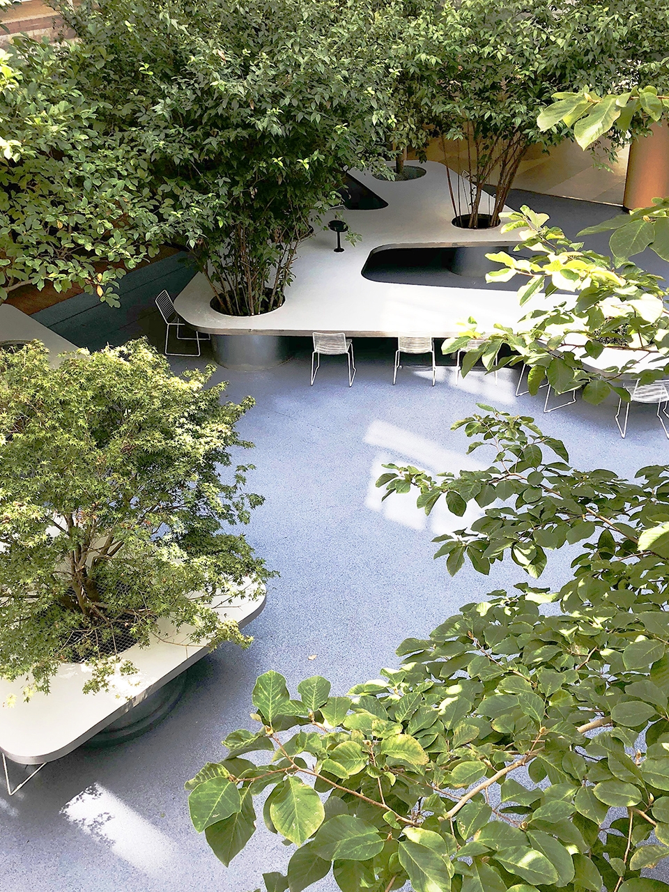 tree desk garden china by daguan landscape design