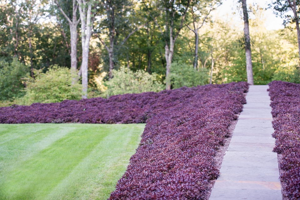 insitu garden by land morphology