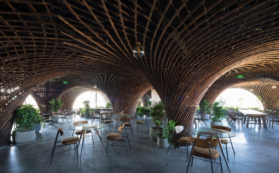 nocenco cafe by vtn architects