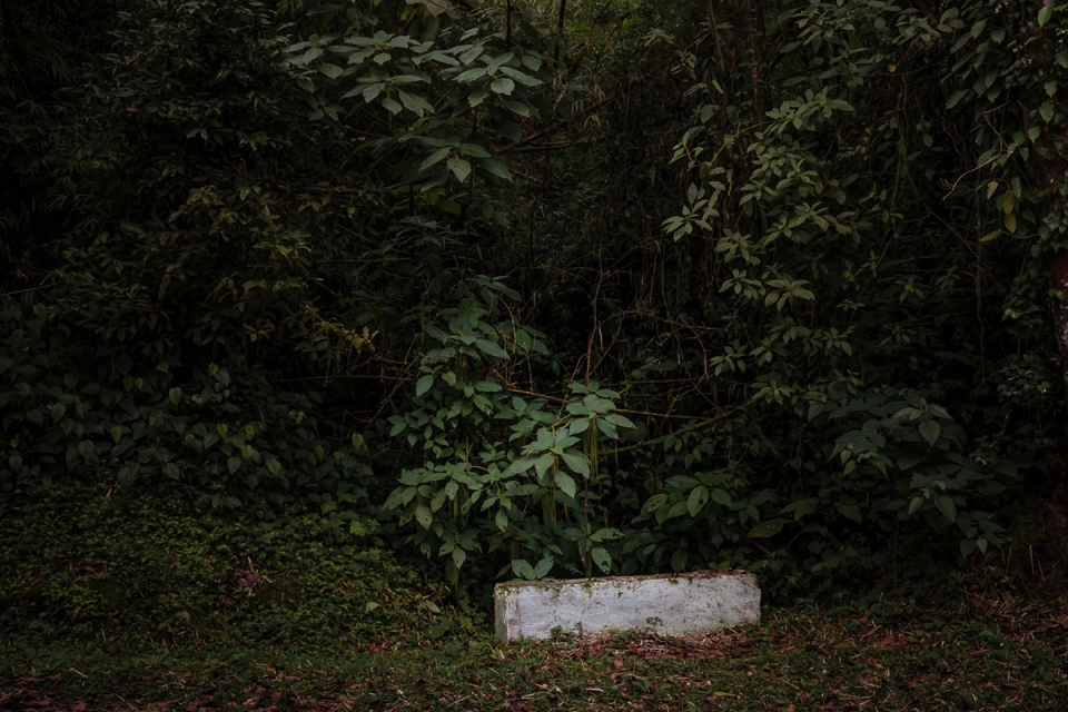 something that i cant remember by antonio schubert