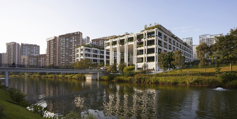 oasis terraces by serie architects multiply architects