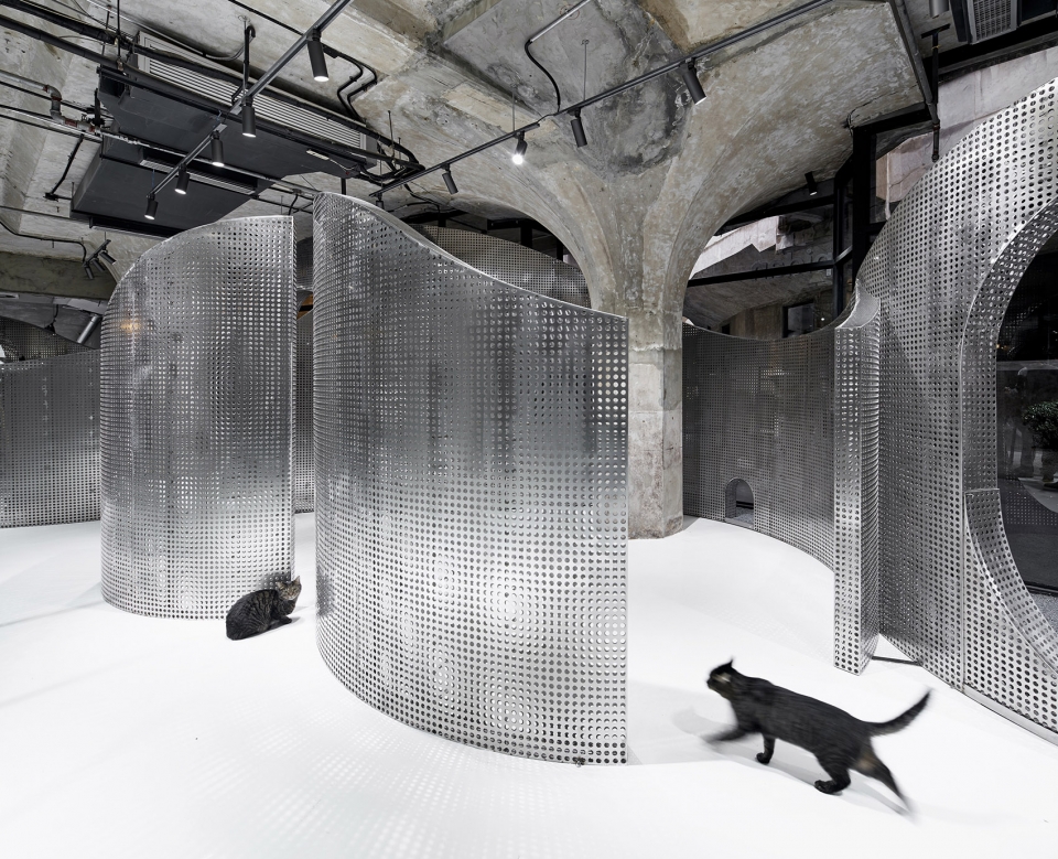 the animal backbone by i f s e space creative lab