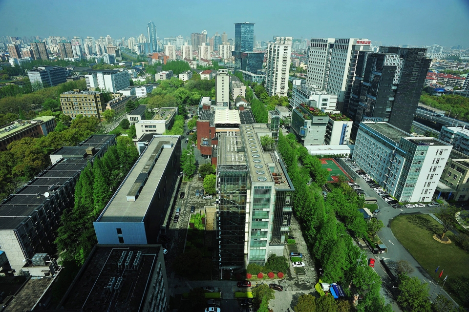gooood interview Li Zhenyu caup1