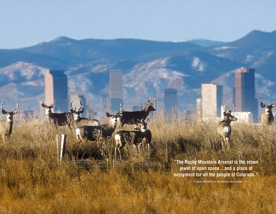 2018 asla the landmark award the rocky mountain arsenal national wildlife refuge comprehensive management plan by design workshop denver