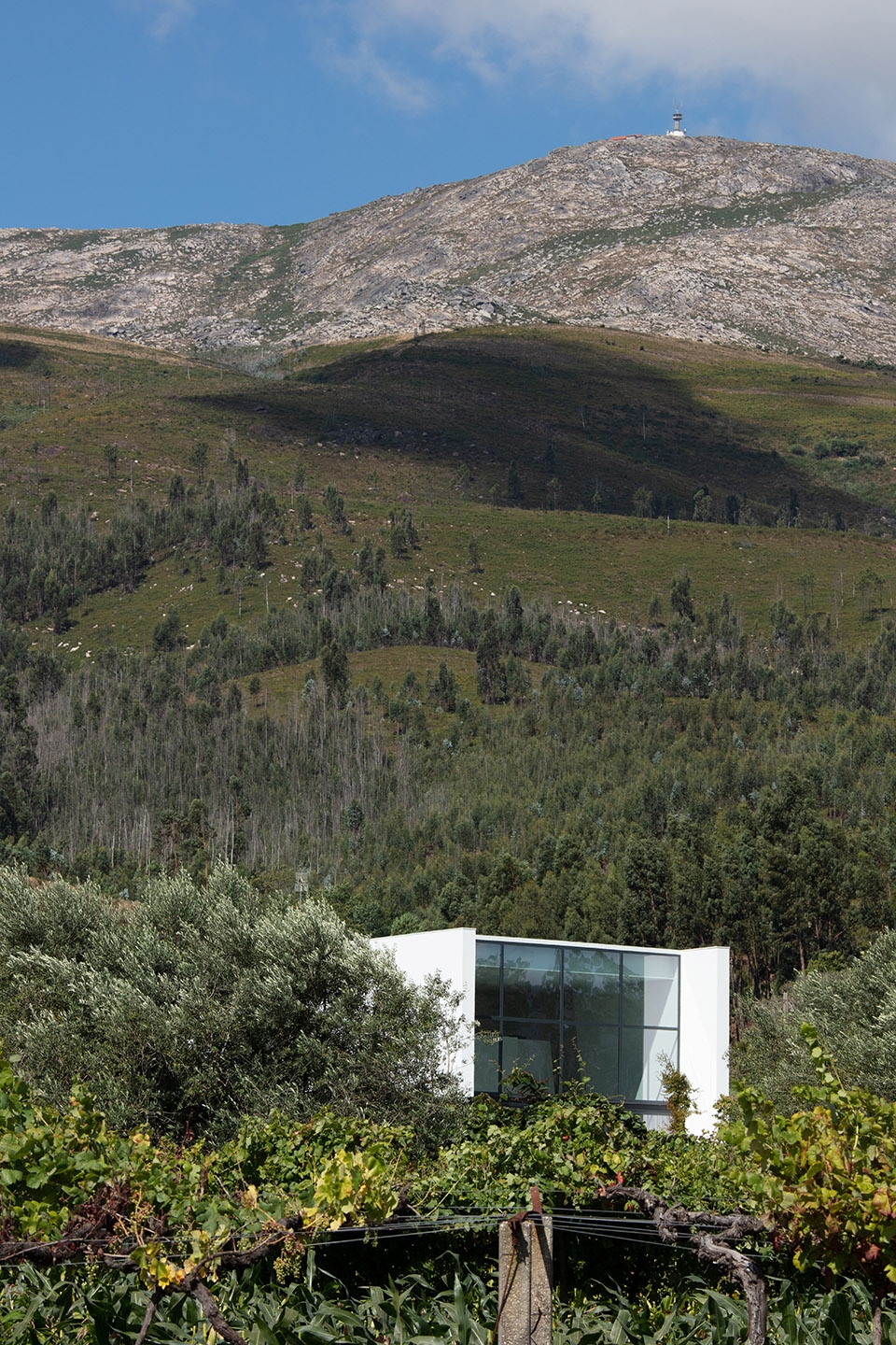 gafarim house by tiago do vale arquitectos 1