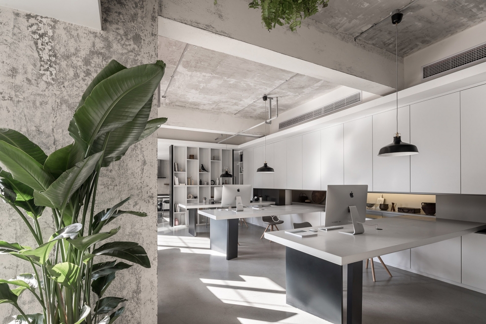 momos talk office china by atdesign
