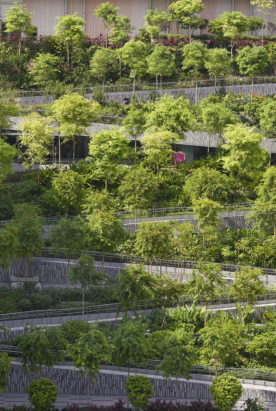 oasis terraces by serie architects multiply architects