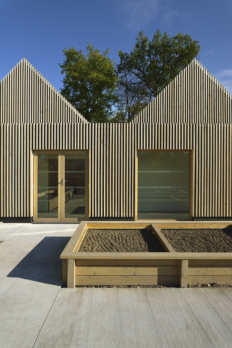 school la ruche by tracks