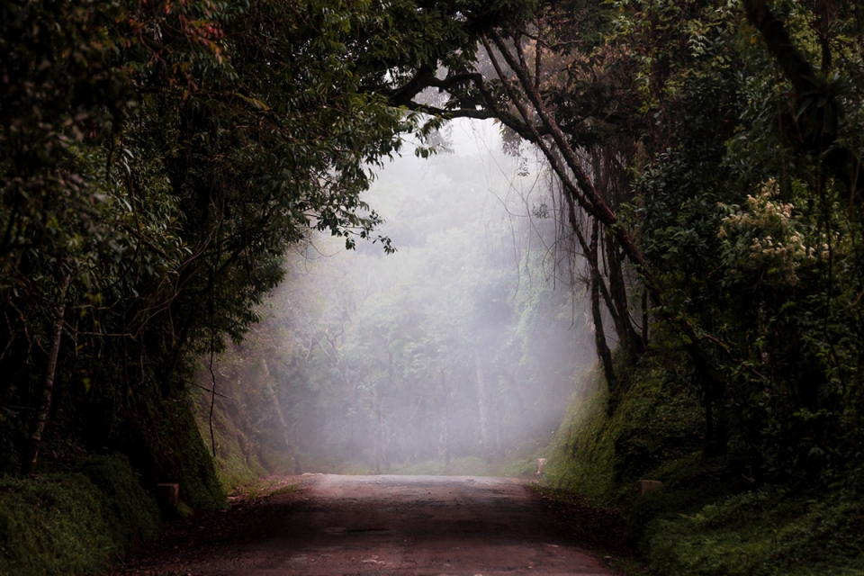 something that i cant remember by antonio schubert