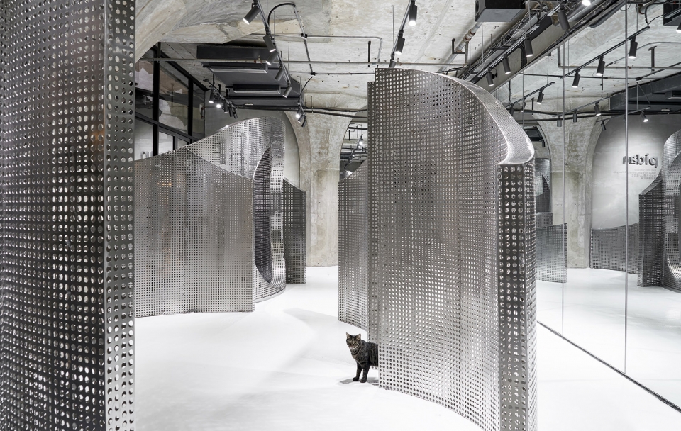 the animal backbone by i f s e space creative lab
