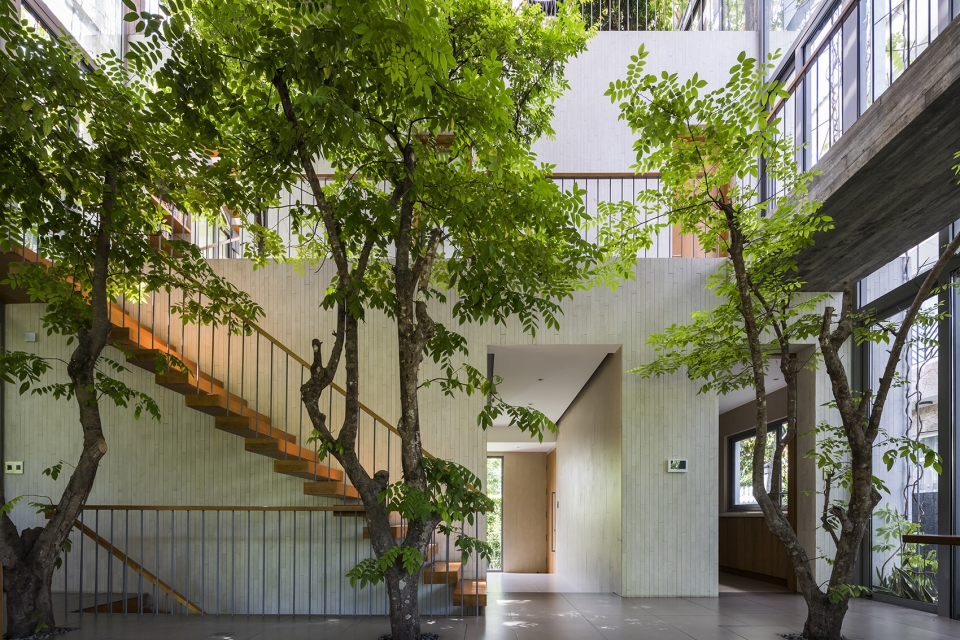 stepping park house by vtn architects