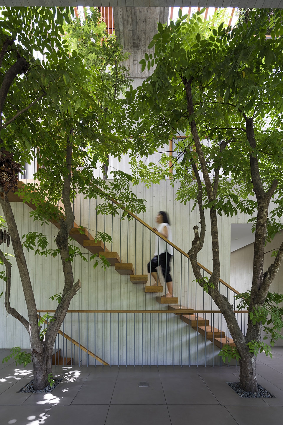stepping park house by vtn architects