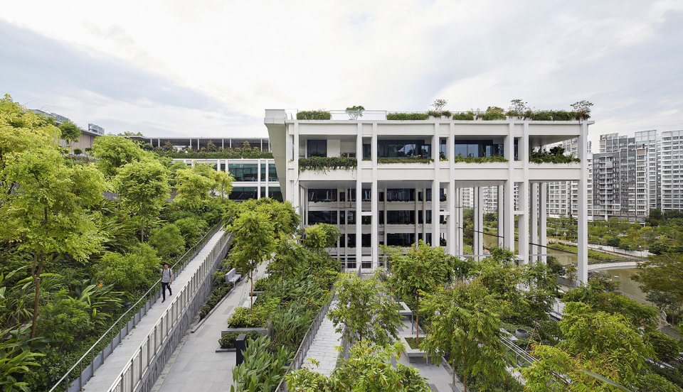 oasis terraces by serie architects multiply architects