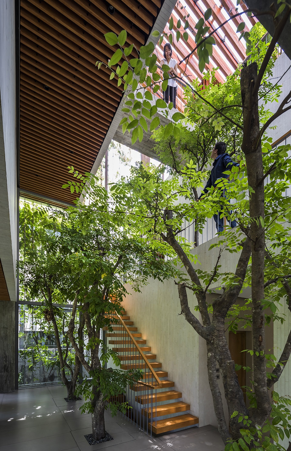 stepping park house by vtn architects