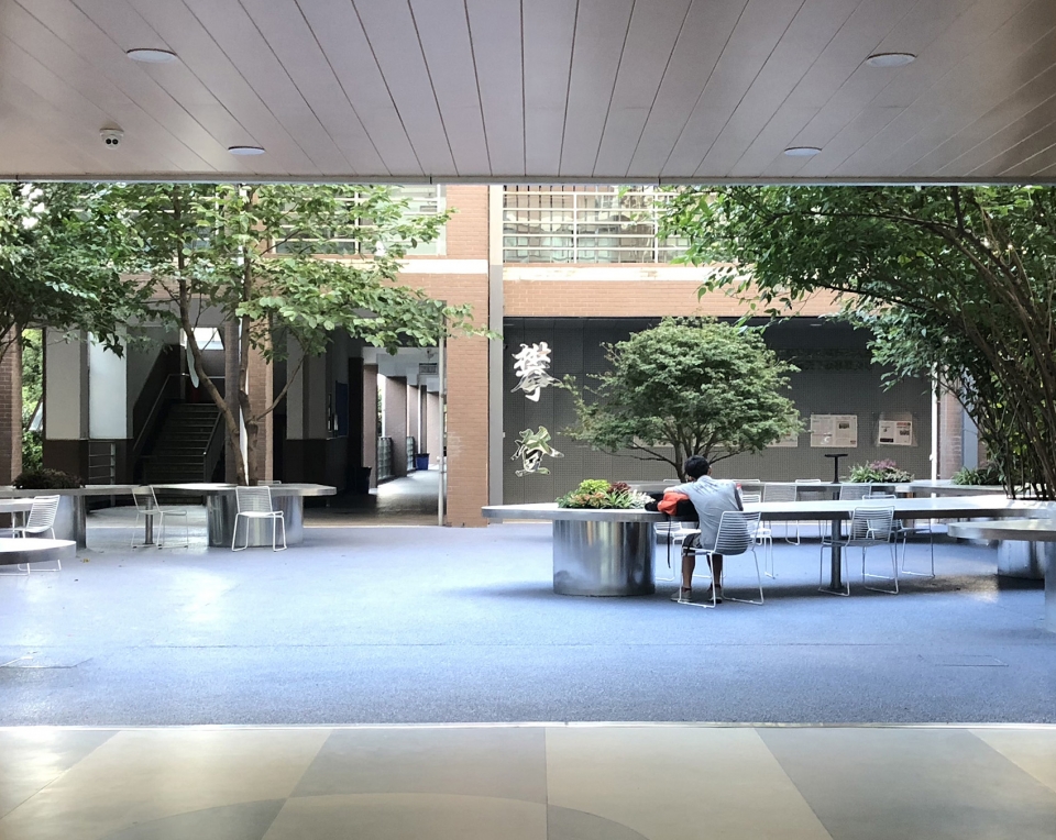 tree desk garden china by daguan landscape design