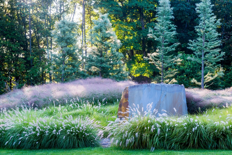 insitu garden by land morphology